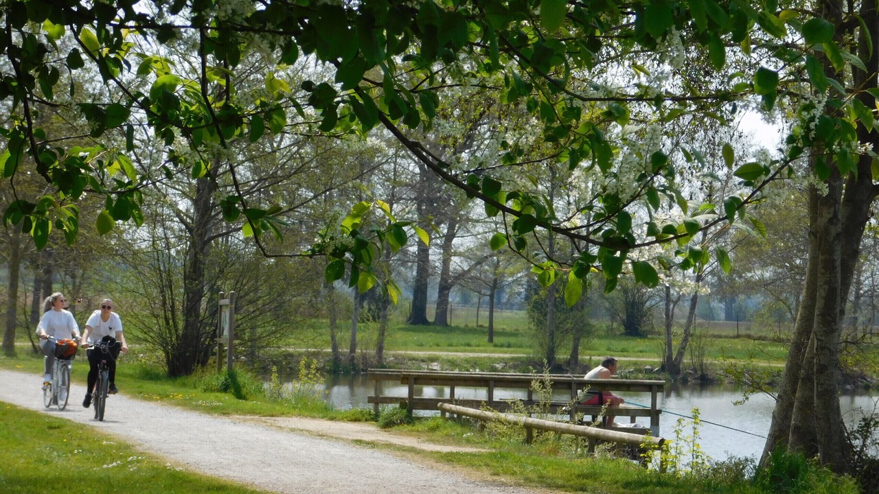 Photo of Outdoor in Saint-Denis-du-Maine