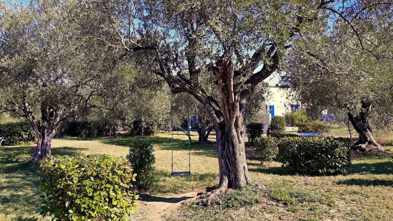Photo of Outdoor in Tourouzelle