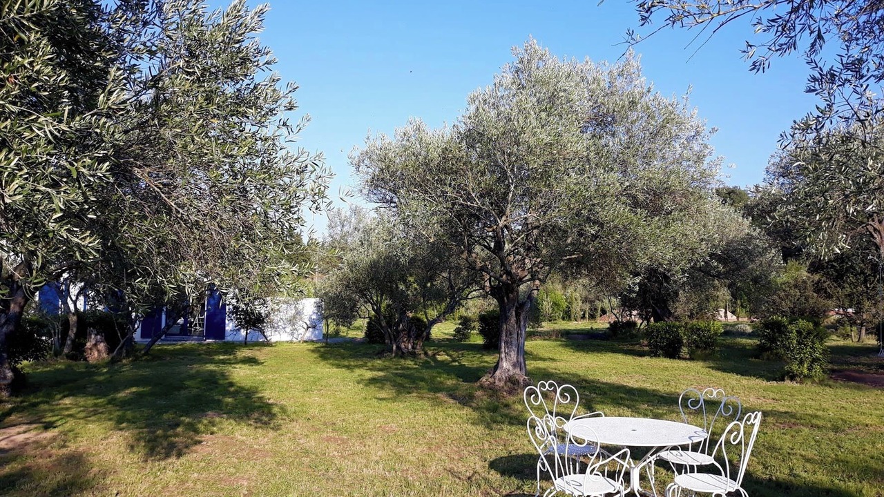 Photo of Outdoor in Tourouzelle