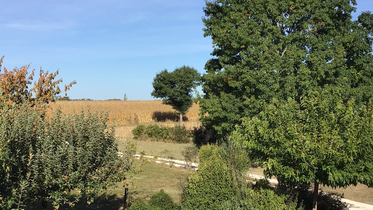 Photo of Outdoor in Saint-Remy