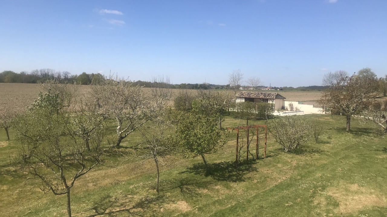 Photo of Others in Saint-Remy