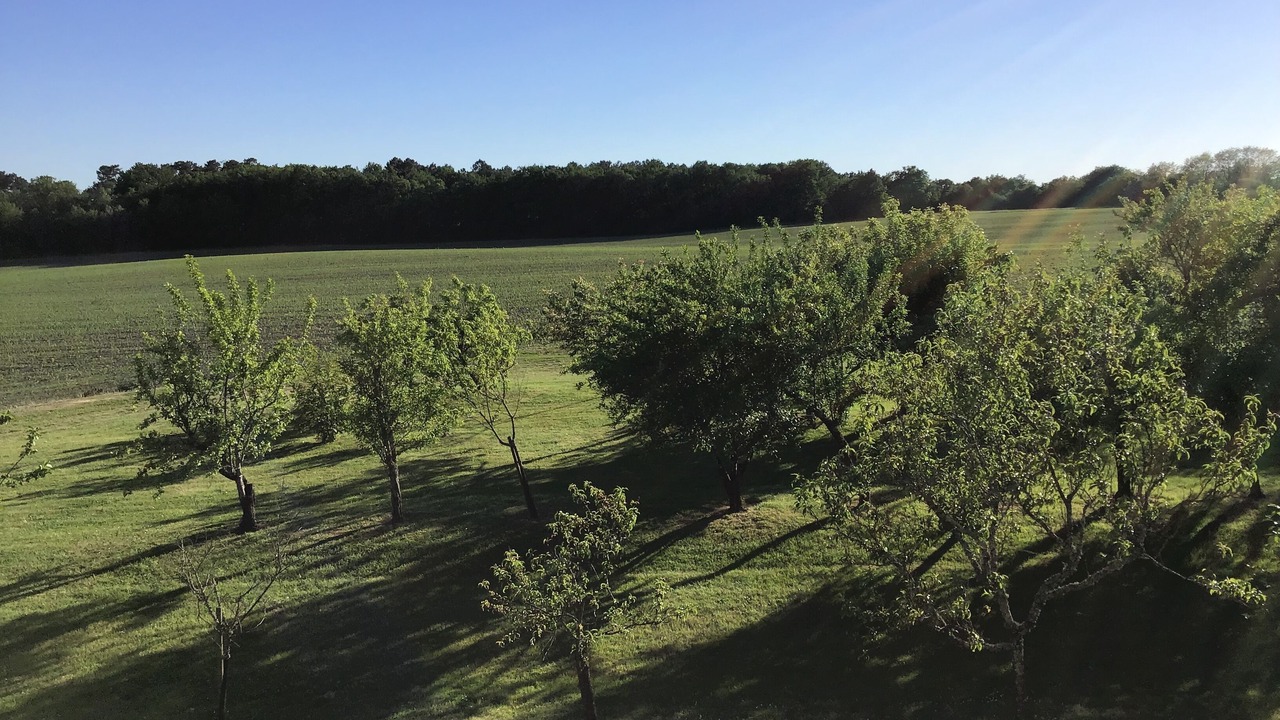 Photo of Outdoor in Saint-Remy