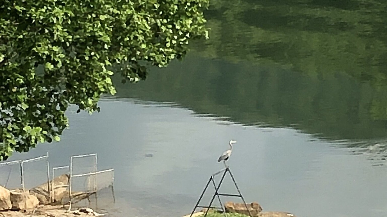 Photo of Outdoor in Chattanooga