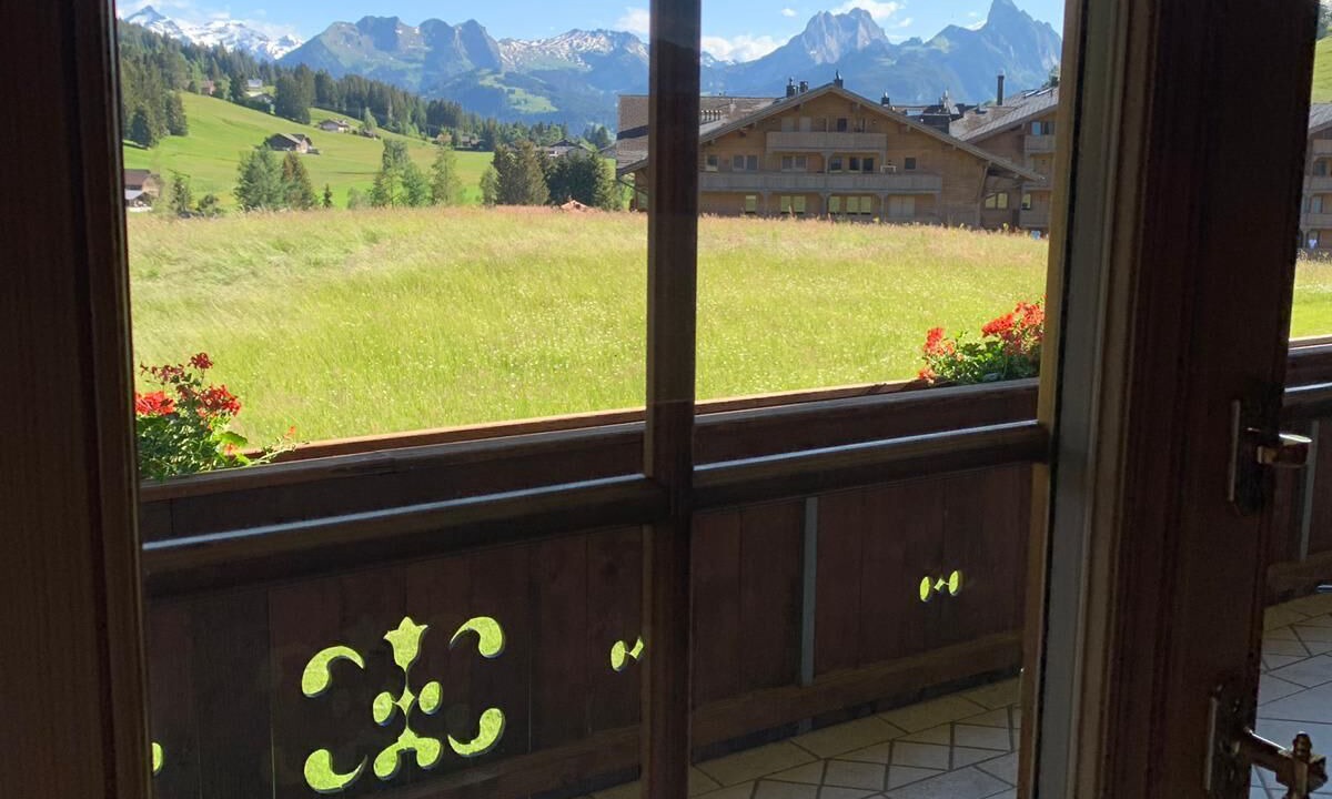 Photo of Patio Balcony in Saanenmoeser