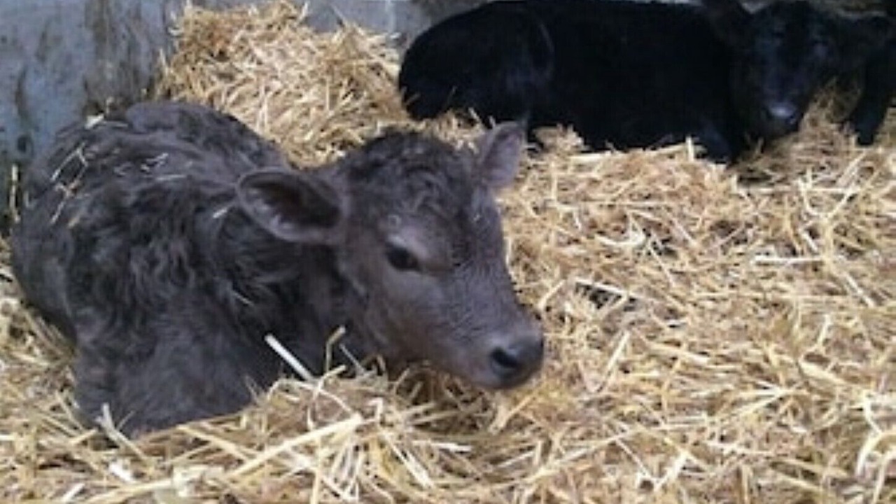 Photo of Others in Beck Hole