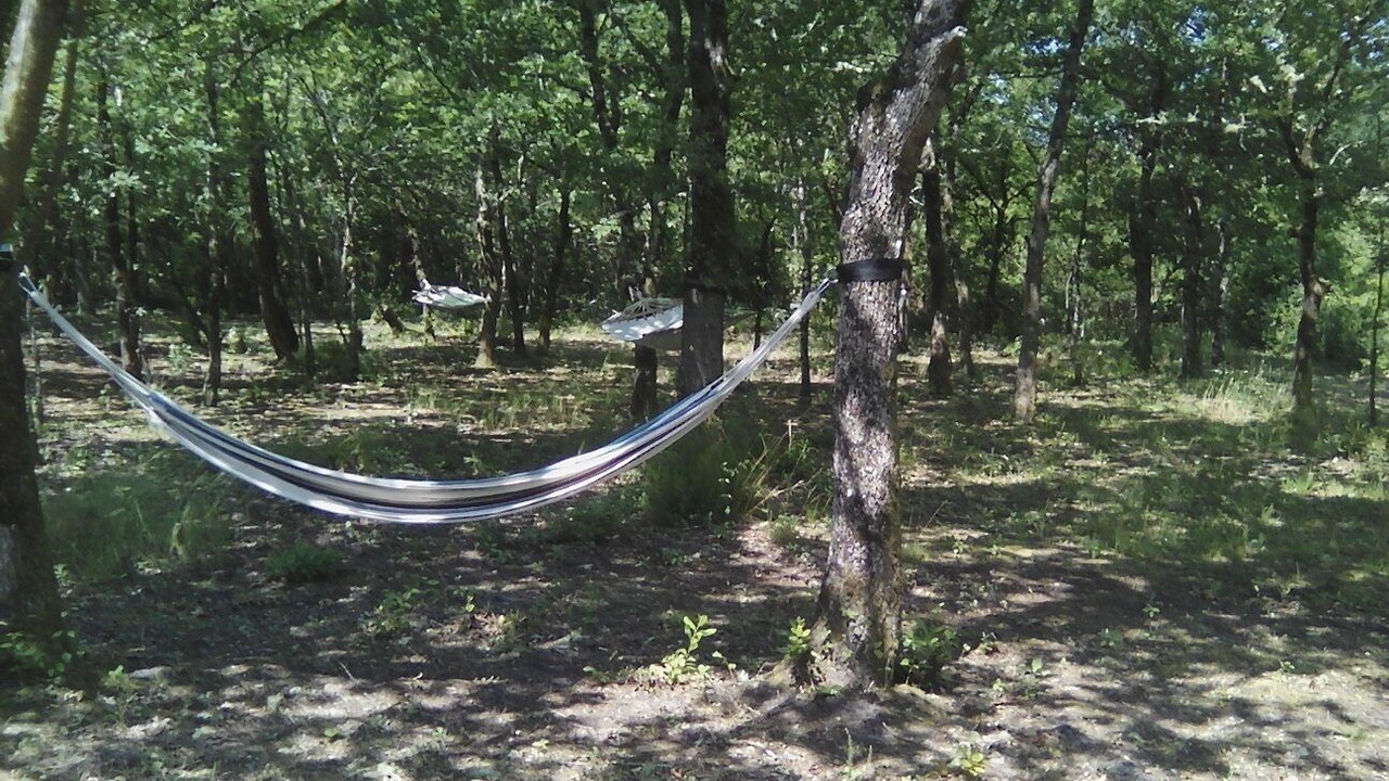 Photo of Outdoor in Gastes