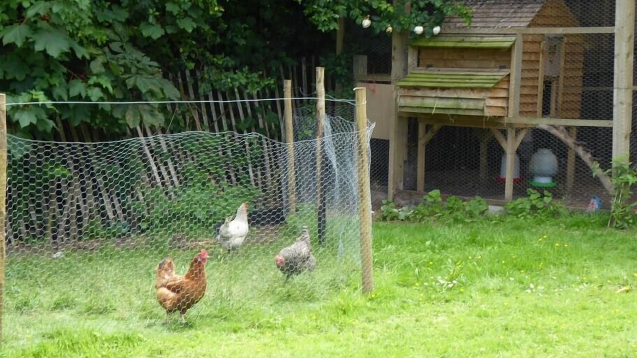 Photo of Outdoor in Exeter