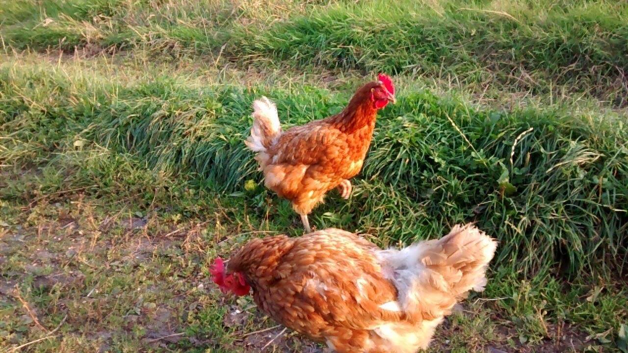 Photo of Outdoor in Goathland