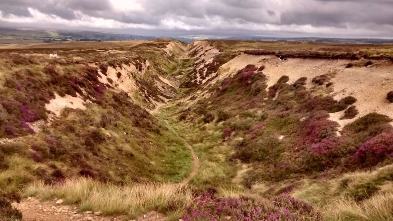 Photo of Others in Goathland