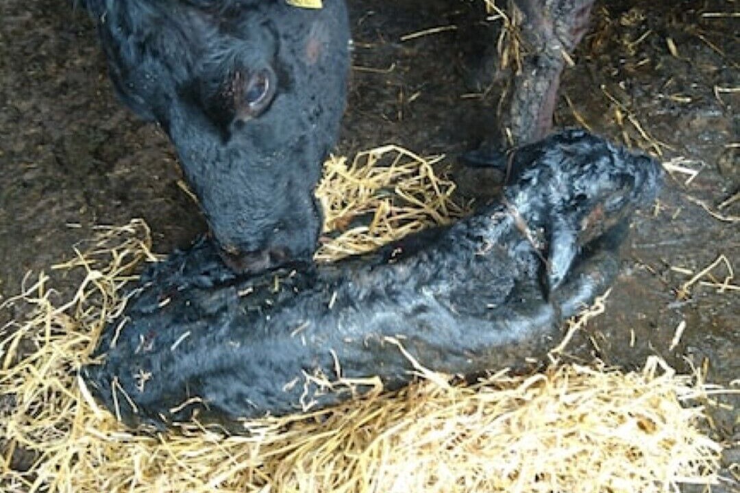 Photo of Others in Goathland