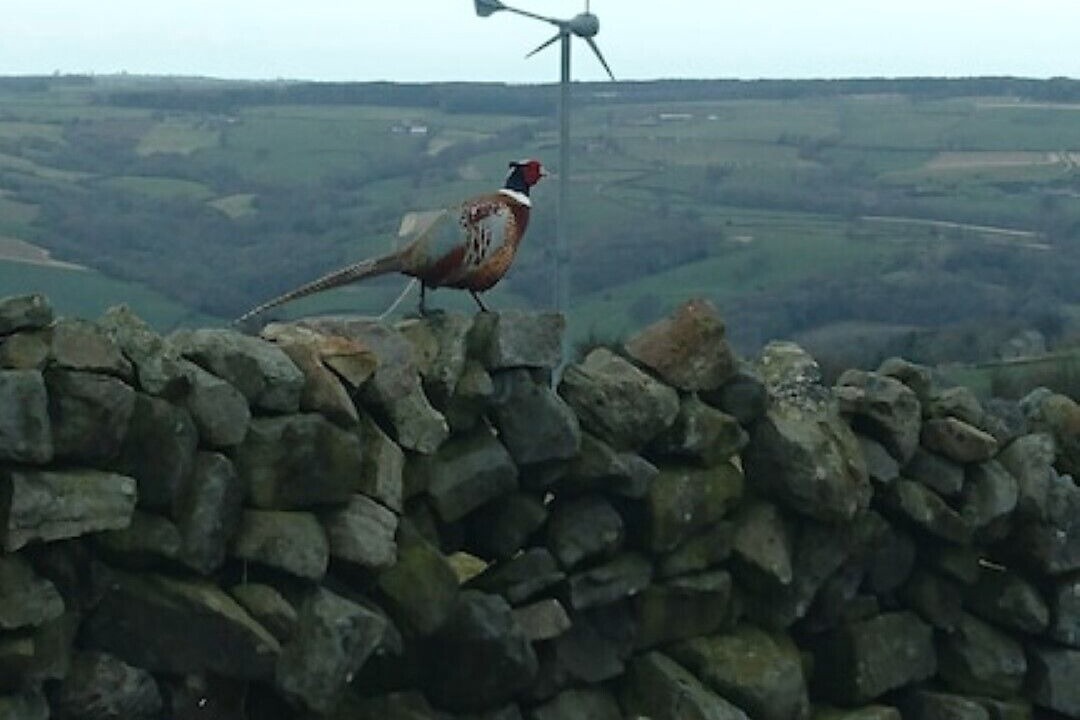 Photo of Others in Goathland