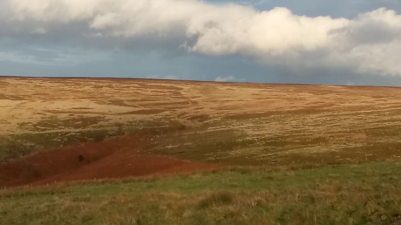 Photo of Others in Goathland