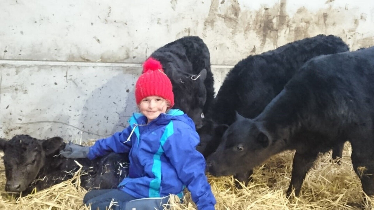 Photo of Others in Goathland