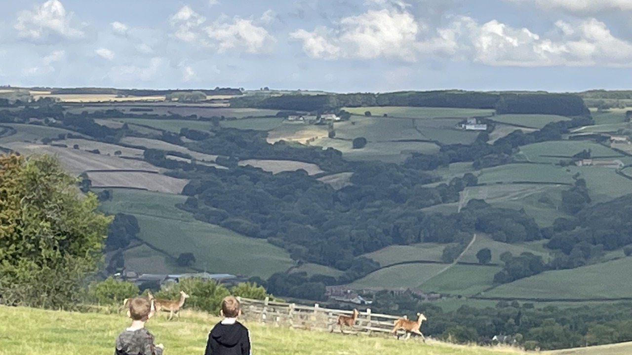 Photo of Others in Goathland