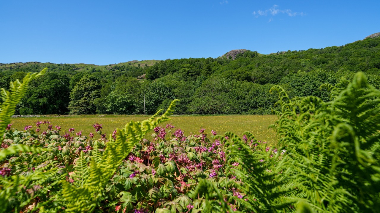 Photo of Outdoor in Broughton in Furness