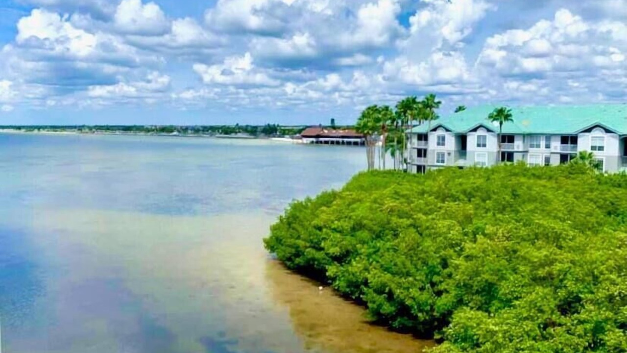 Photo of Others in Rocky Point