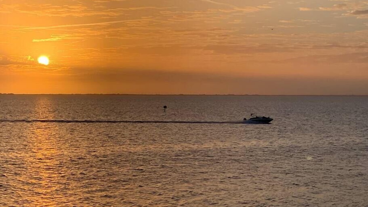 Photo of Others in Rocky Point