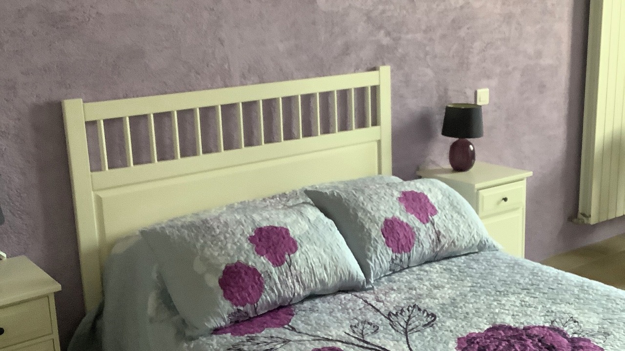 Photo of Others in Perpignan