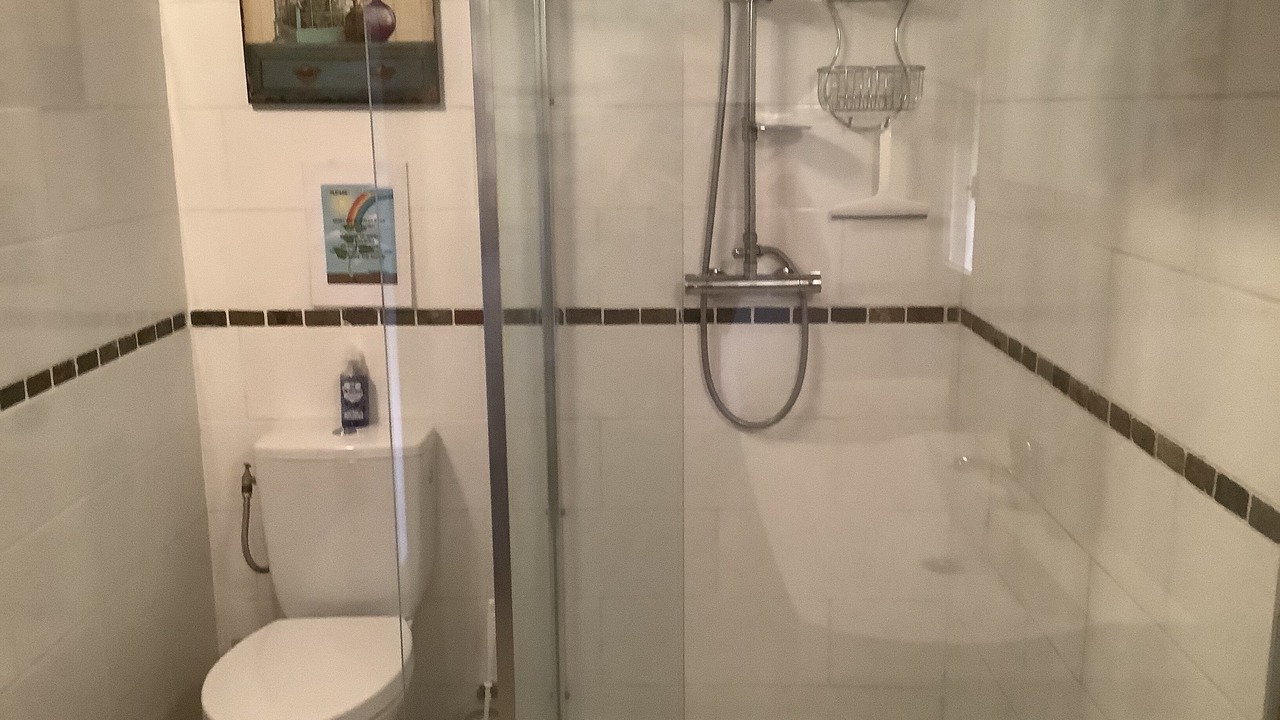 Photo of Bathroom in Perpignan