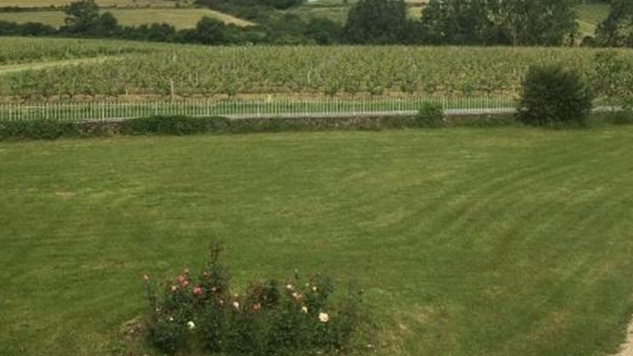 Photo of Outdoor in Bellevigne-en-Layon