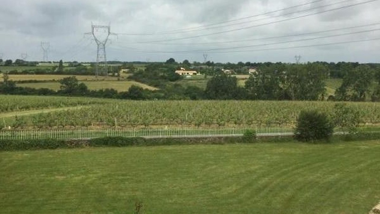 Photo of Others in Bellevigne-en-Layon
