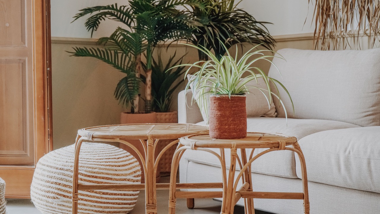 Photo of Livingroom in Altea