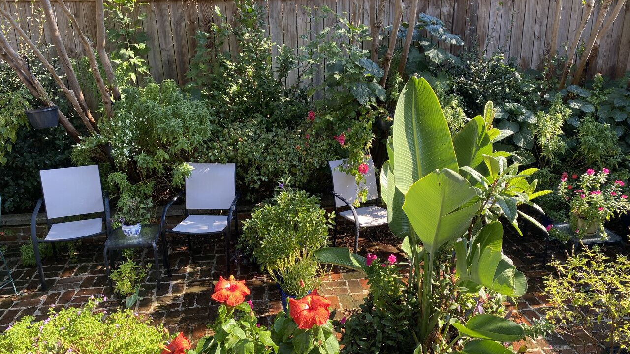 Photo of Outdoor in Treme