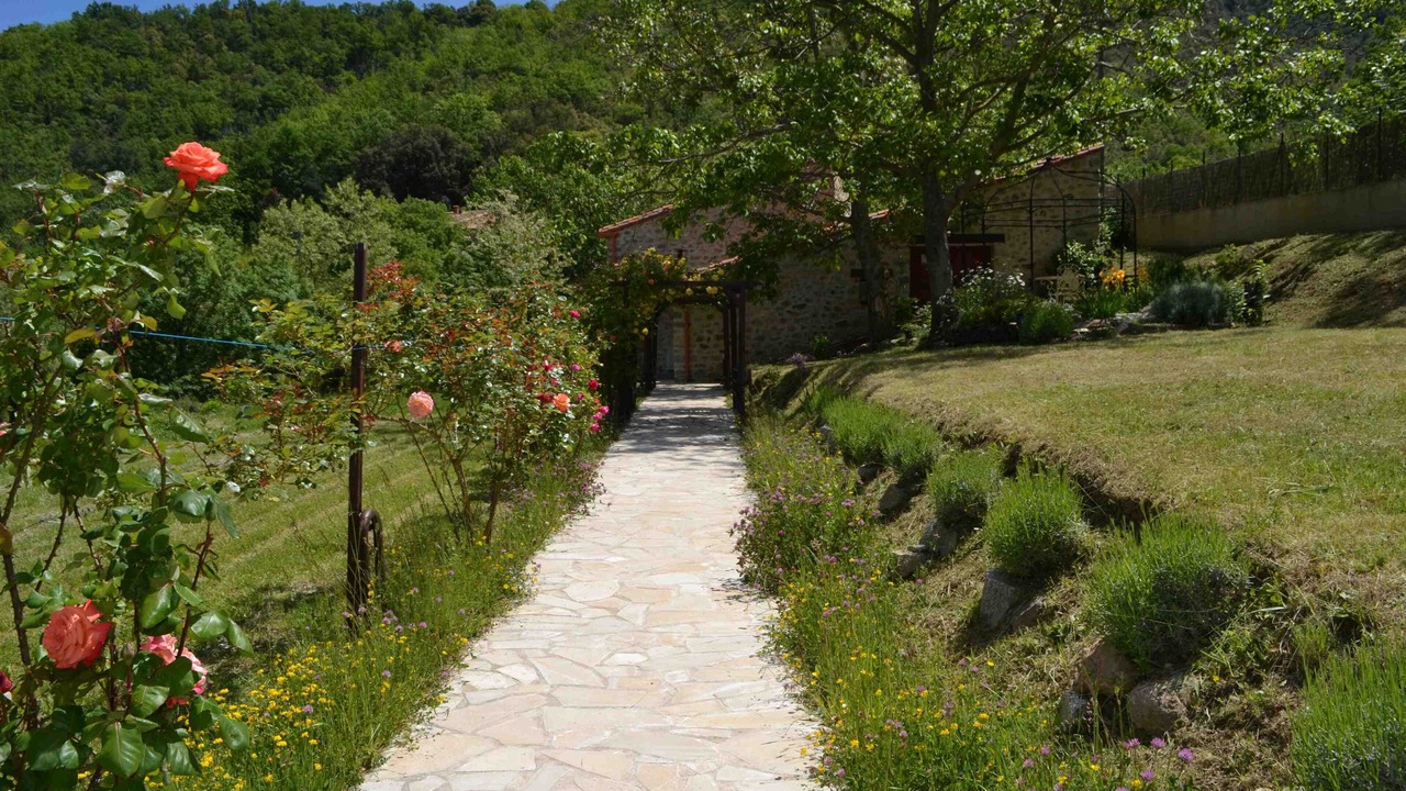 Photo of Outdoor in Arles-sur-Tech