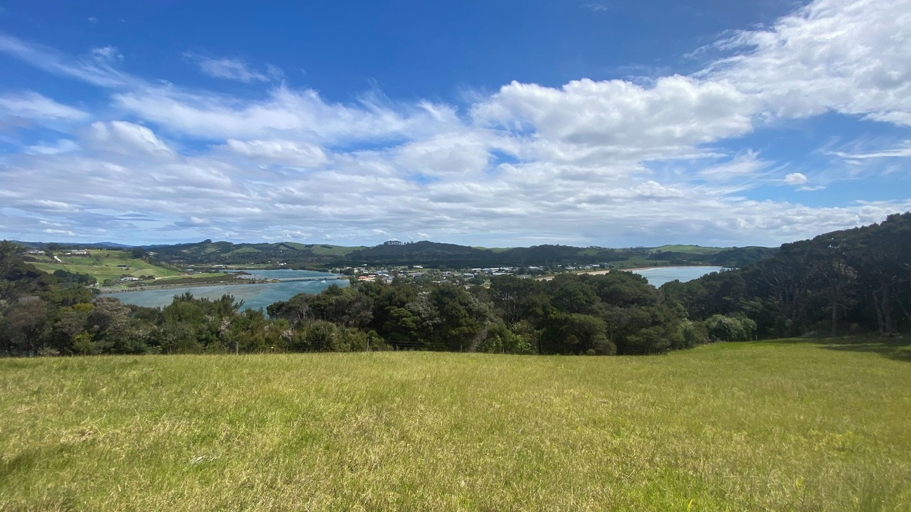 Photo of Others in Cable Bay
