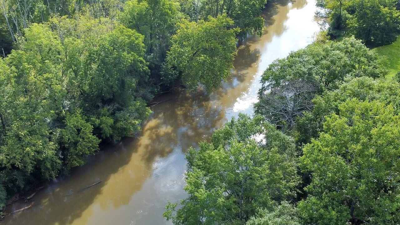Photo of Others in Ball Ground