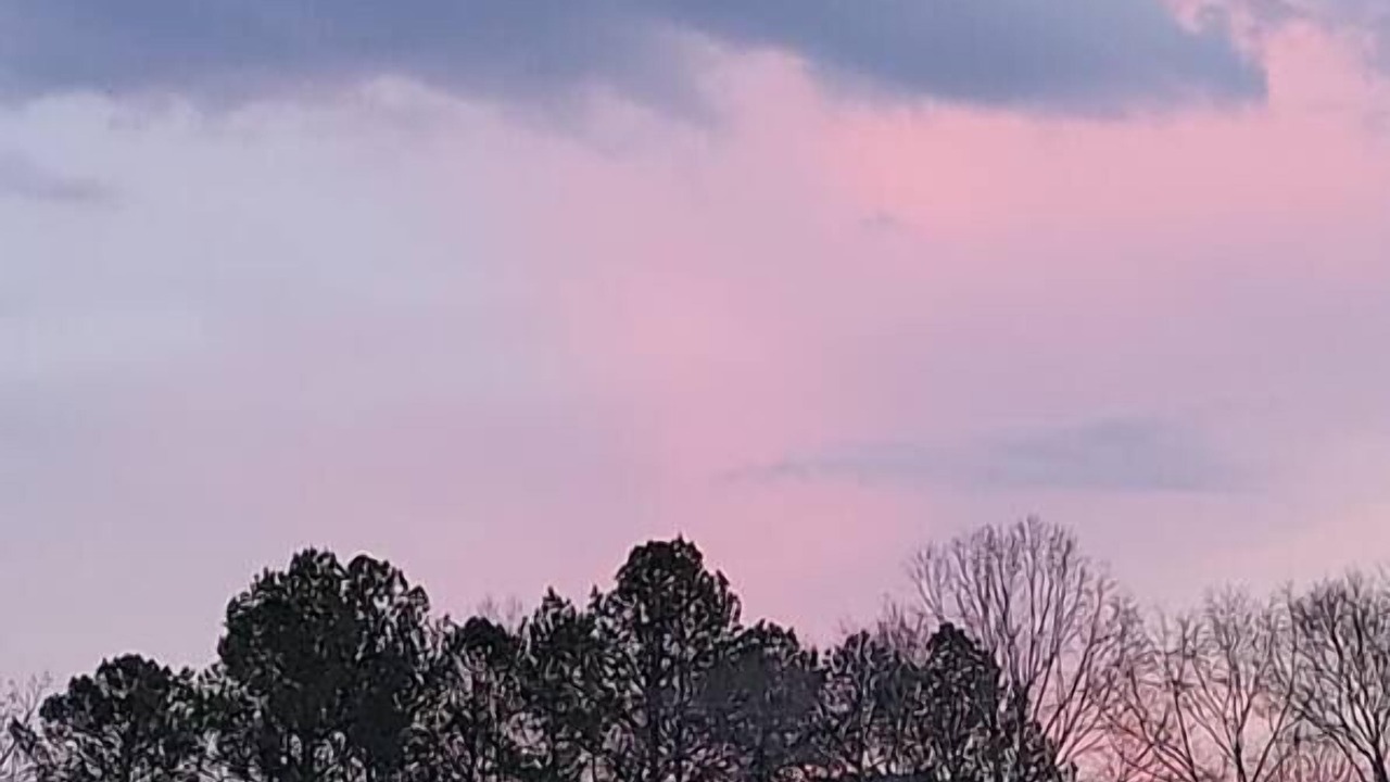 Photo of Others in Ball Ground