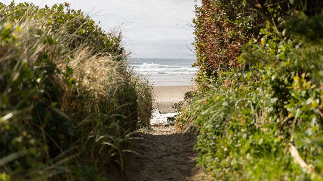 Photo of Others in Rockaway Beach