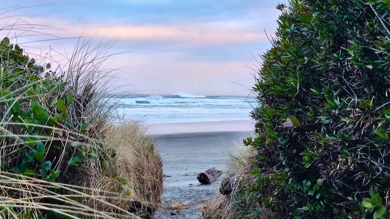 Photo of Others in Rockaway Beach