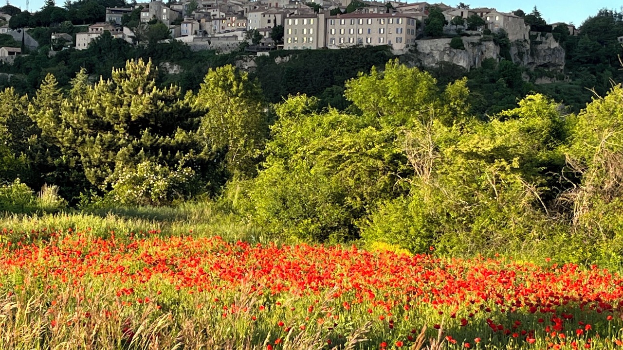 Photo of Others in Sault