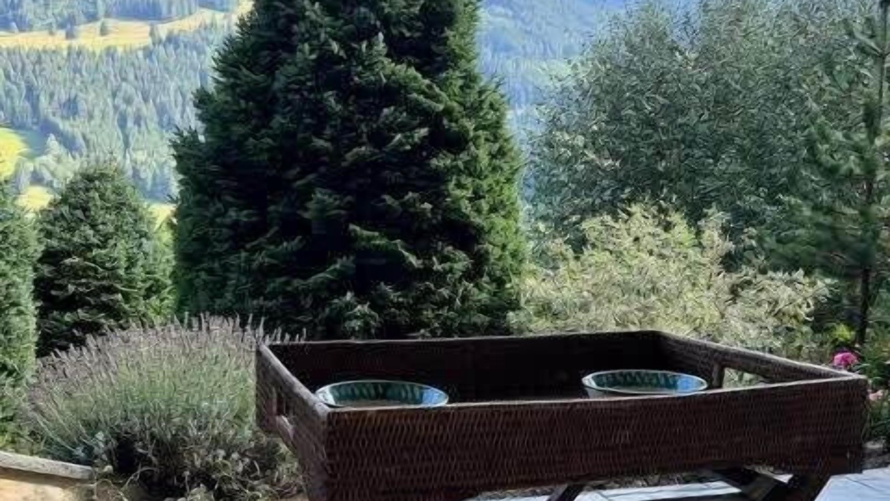 Photo of Patio Balcony in Rougemont