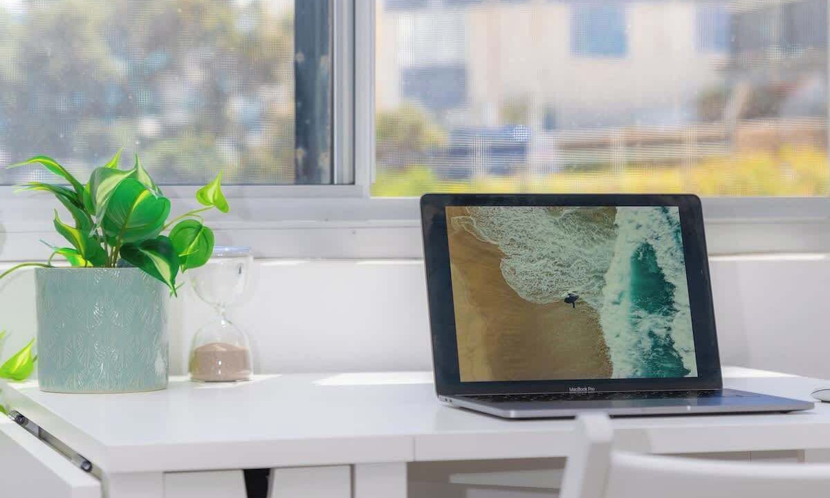 Photo of Others in North Bondi