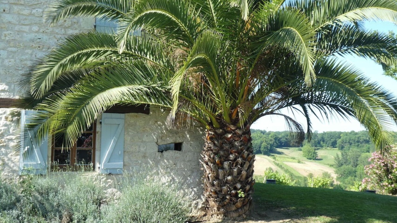Photo of Outdoor in Saint-Nazaire-de-Valentane