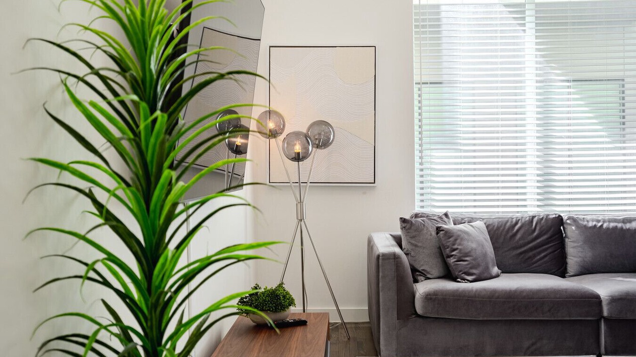 Photo of Livingroom in Old East Dallas
