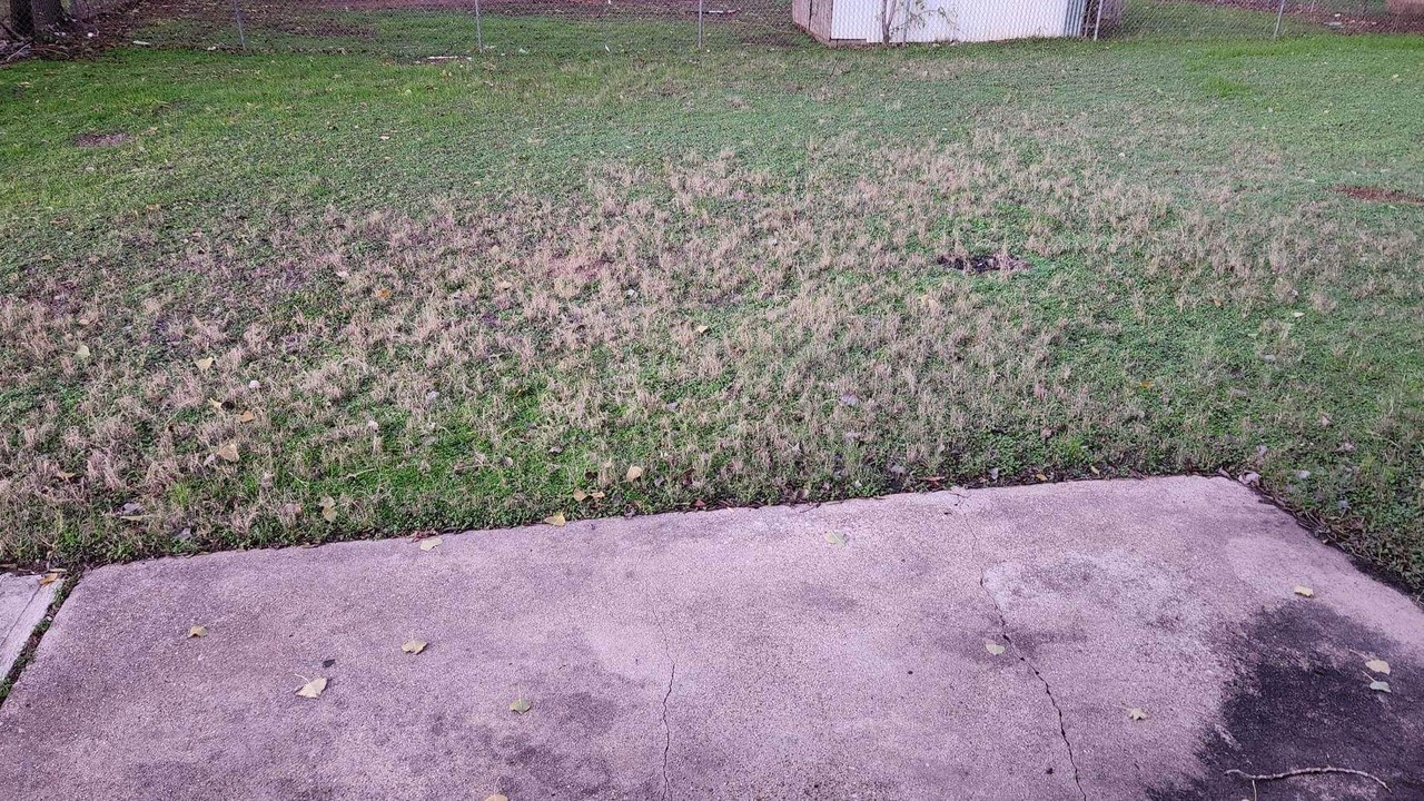 Photo of Outdoor in Mineral Wells