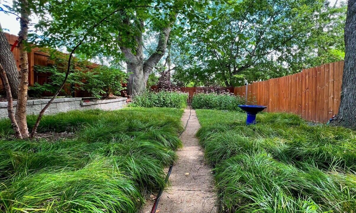 Photo of Outdoor in Tower Grove East