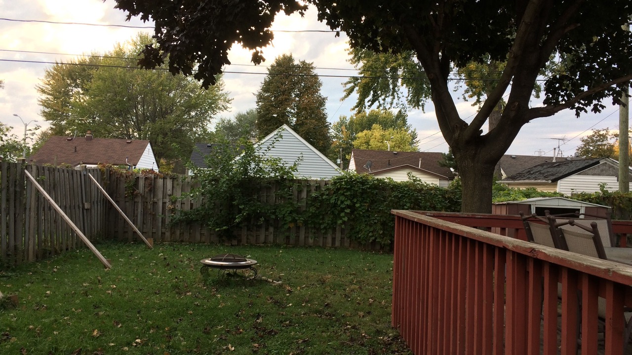 Photo of Outdoor in Bridgeview