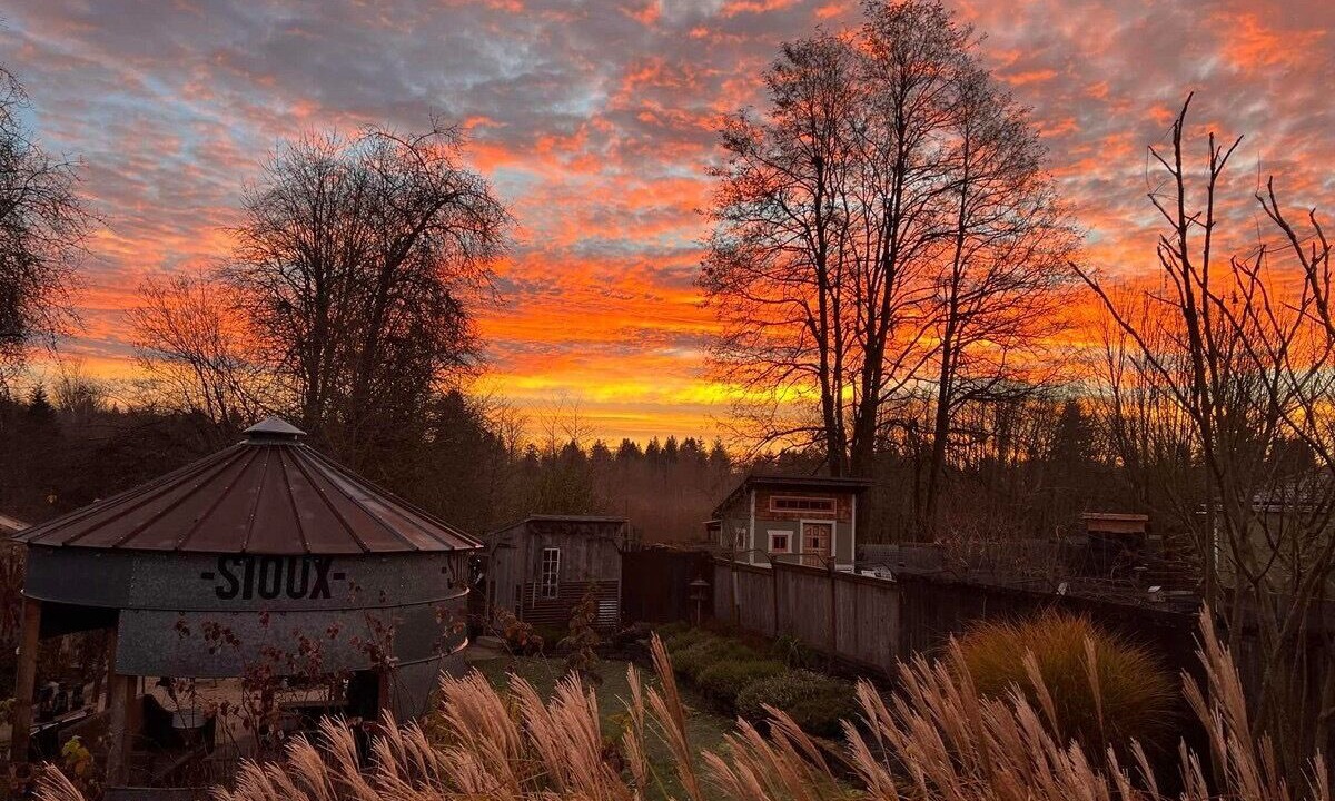 Photo of Others in Olympia