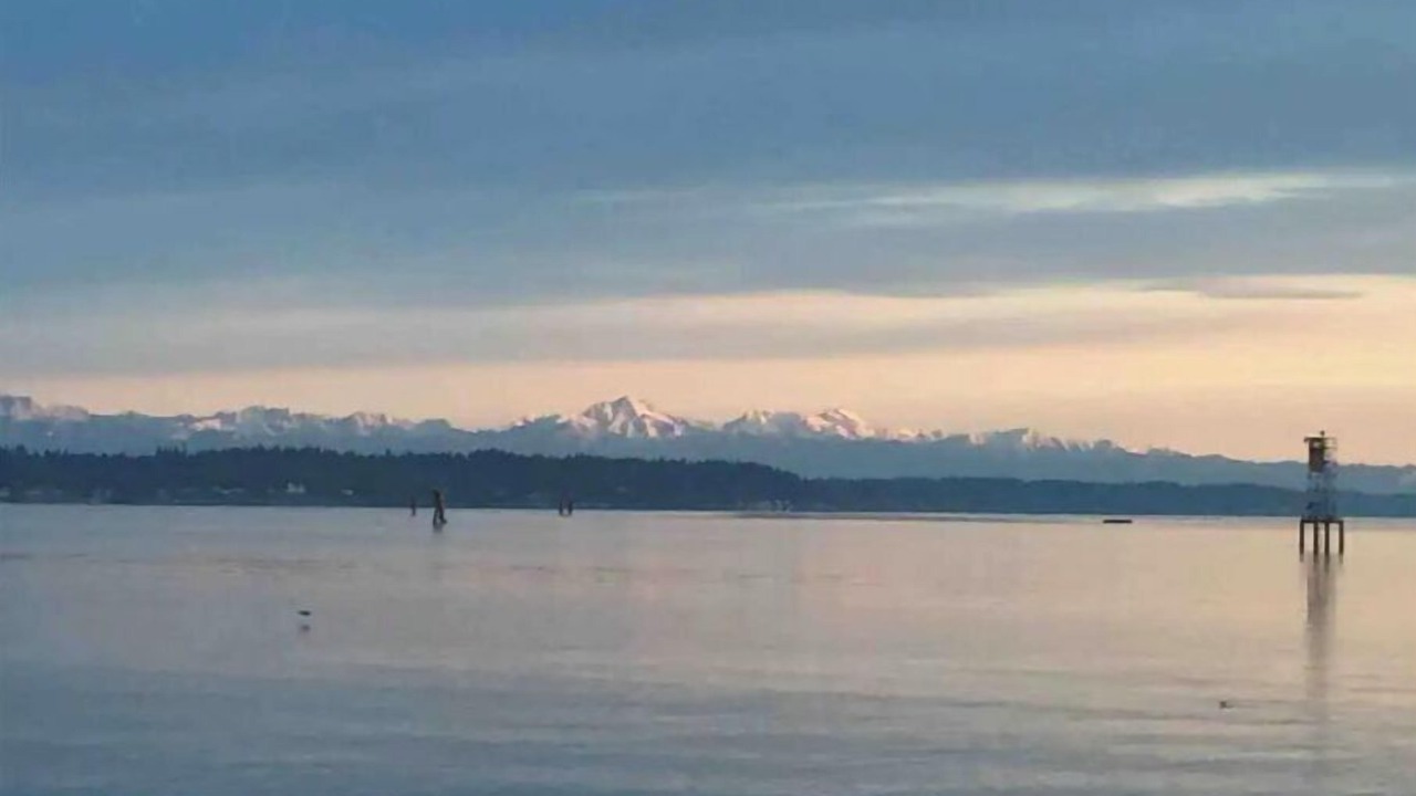 Photo of Others in Olympia