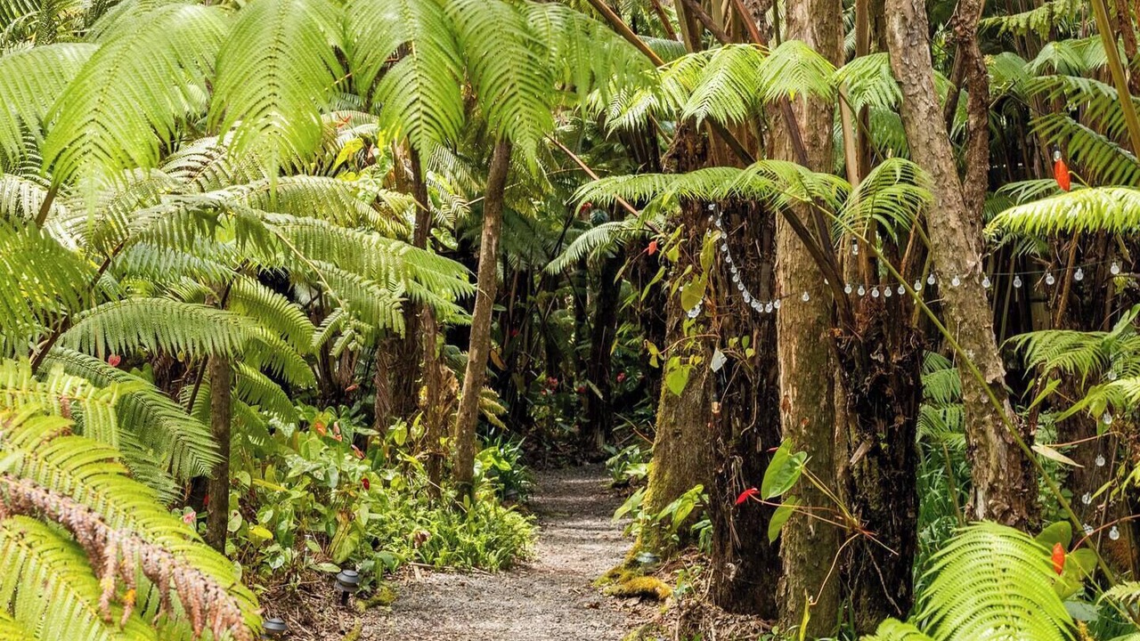 Photo of Outdoor in Volcano