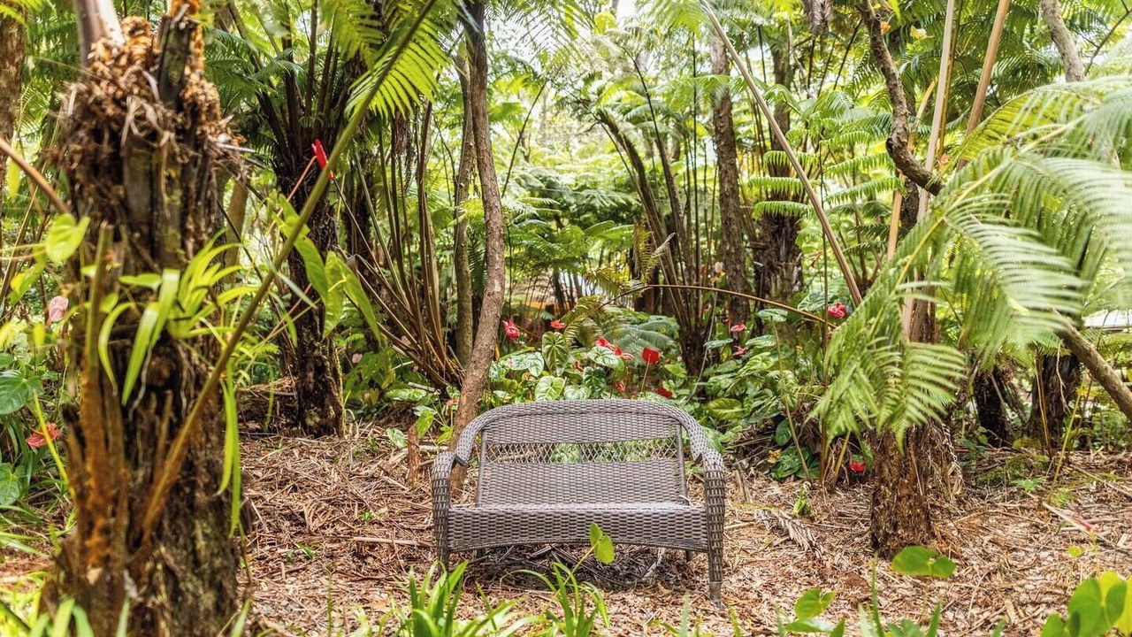 Photo of Outdoor in Volcano