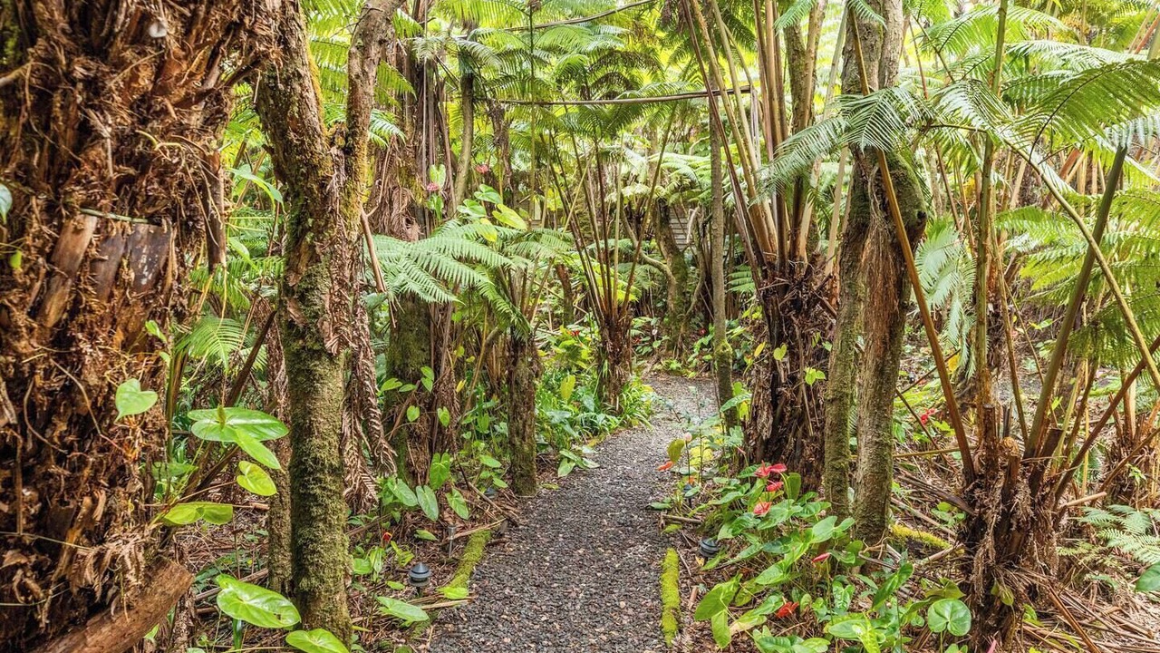 Photo of Outdoor in Volcano