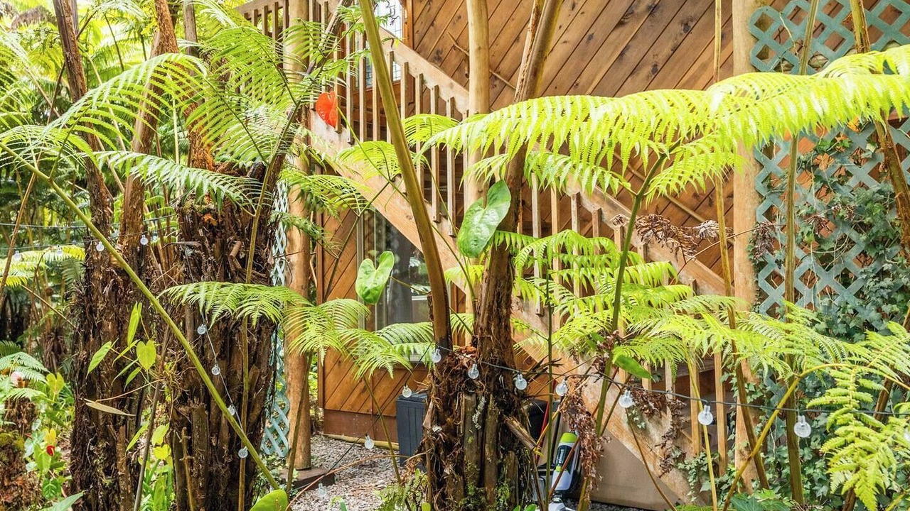 Photo of Outdoor in Volcano