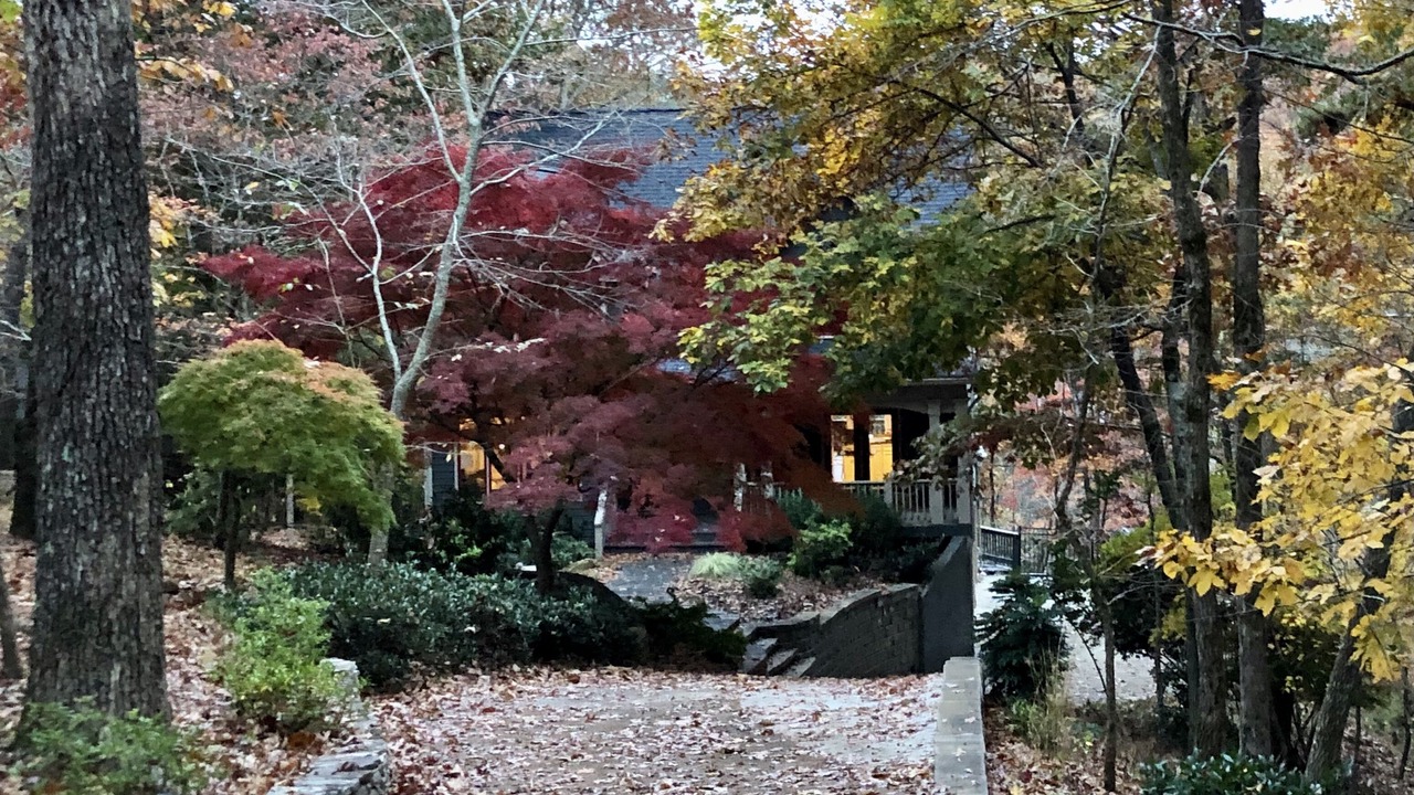 Photo of Outdoor in Waleska