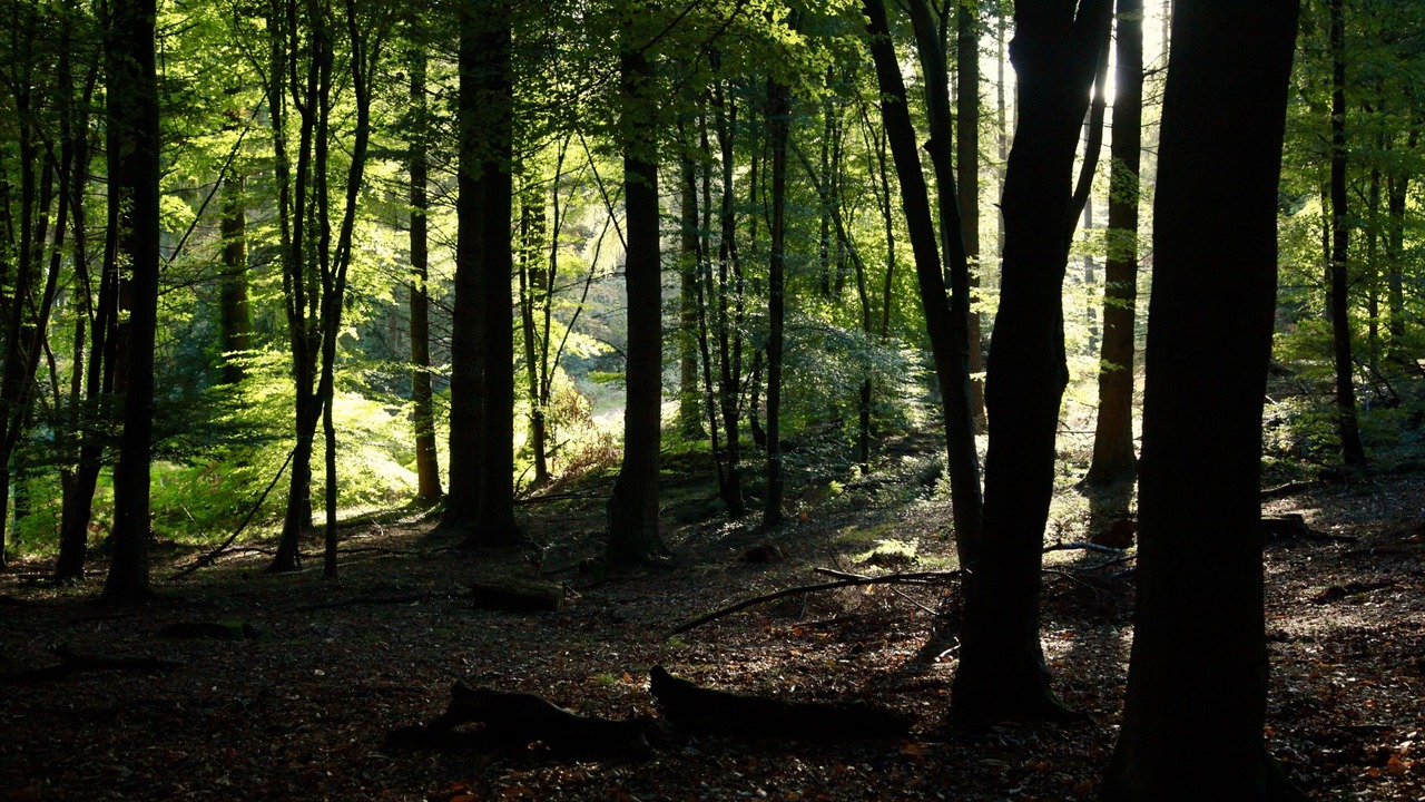 Photo of Outdoor in Coleford