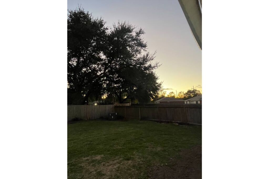 Photo of Outdoor in Spring
